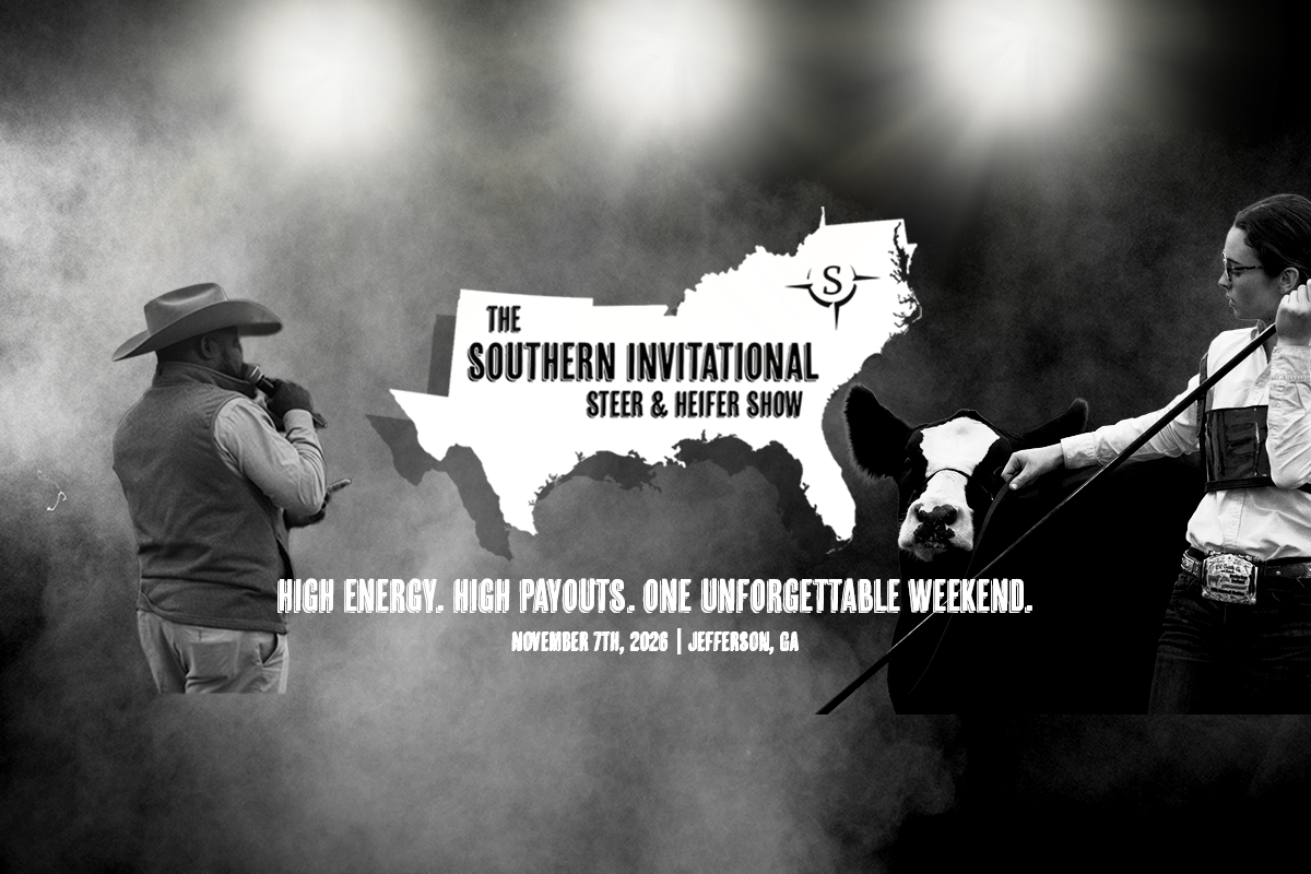 Image for The Southern Invitational Steer and Heifer Show
