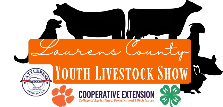 Image for Laurens County Youth Livestock Show