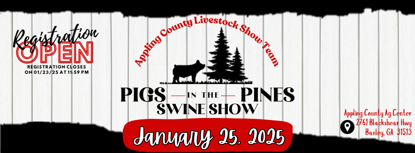 Image for 2025 Pigs in the Pines
